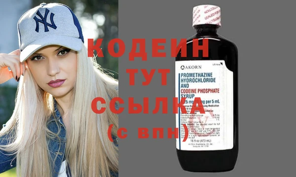 прущие грибы Инсар