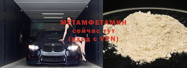 прущие грибы Инсар