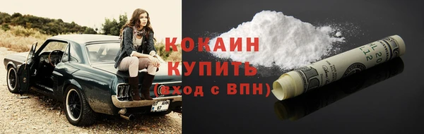 прущие грибы Инсар