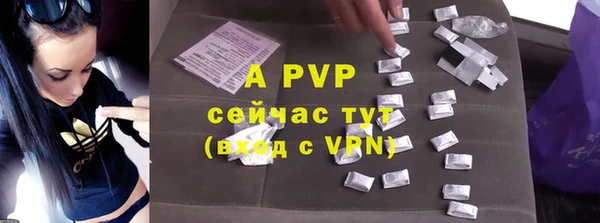 прущие грибы Инсар