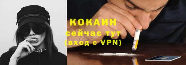 прущие грибы Инсар