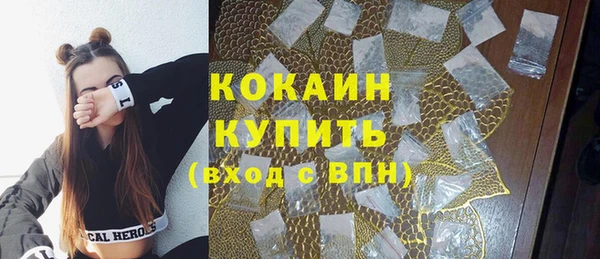 прущие грибы Инсар