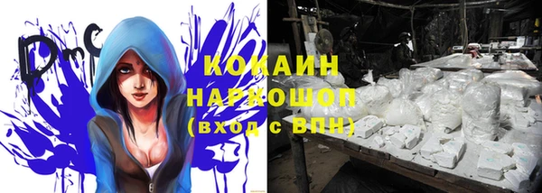 стаф Каменка
