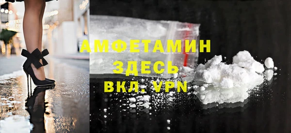 прущие грибы Инсар