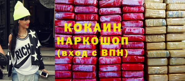прущие грибы Инсар