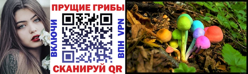 Псилоцибиновые грибы прущие грибы  Купить закладки  Дальнегорск 